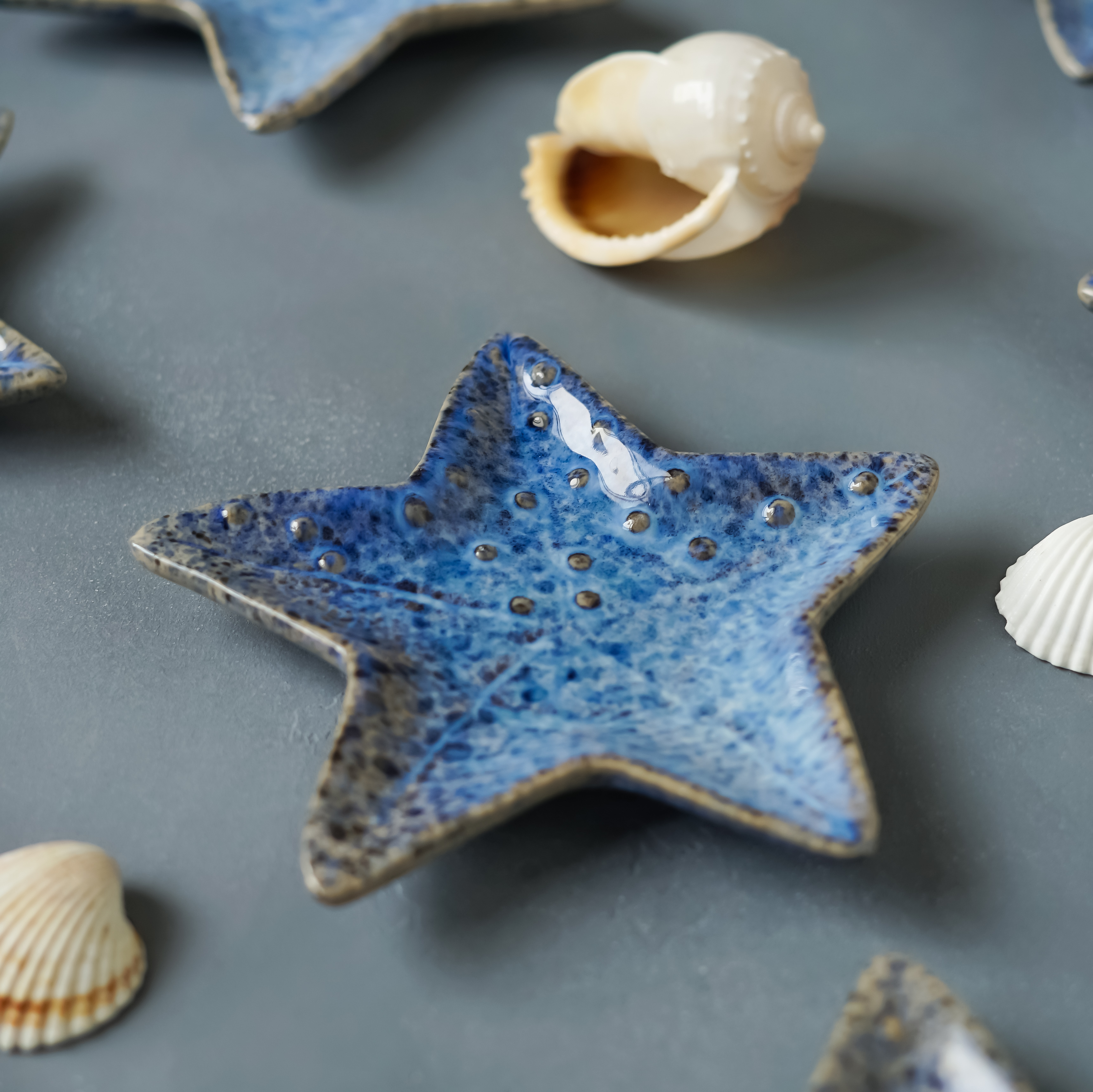 Sea collection. Синяя морская звезда. Коллекция морских звезд. Морские формы в керамике. Форма морской звезды.